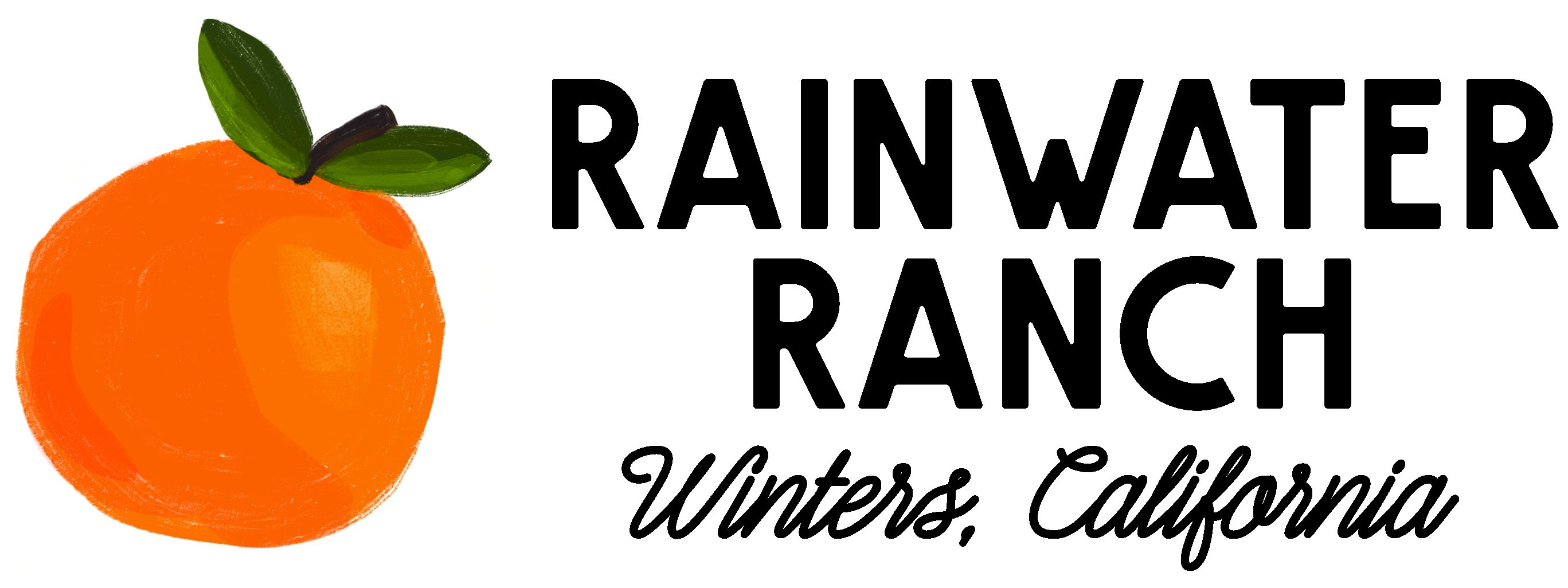 Rainwater Ranch
